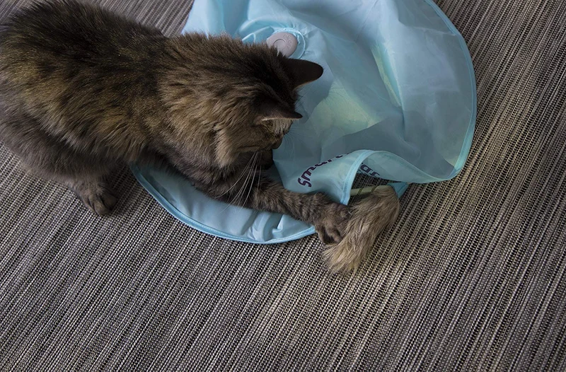 SmartyKat Electronic Motion Cat Toys