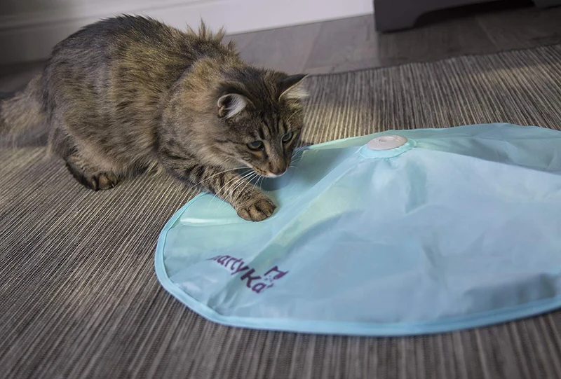 SmartyKat Electronic Motion Cat Toys