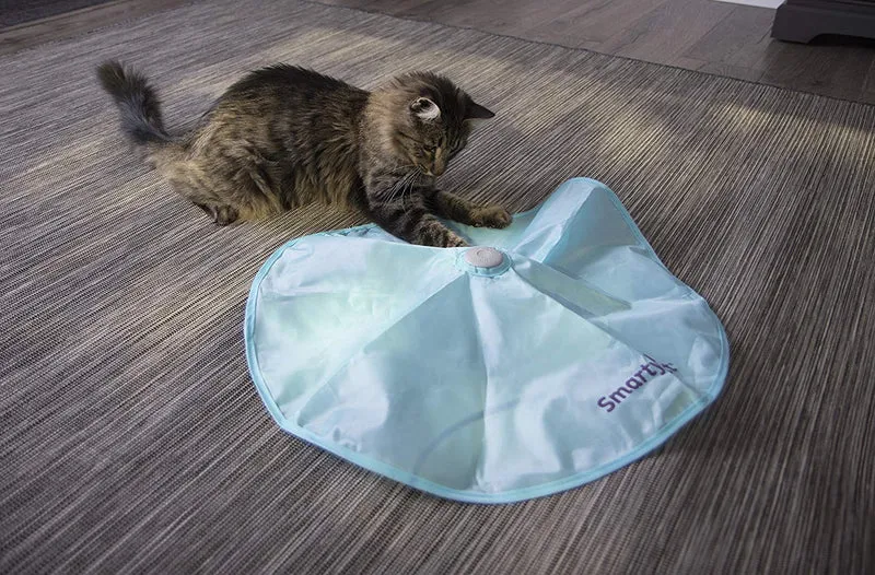 SmartyKat Electronic Motion Cat Toys