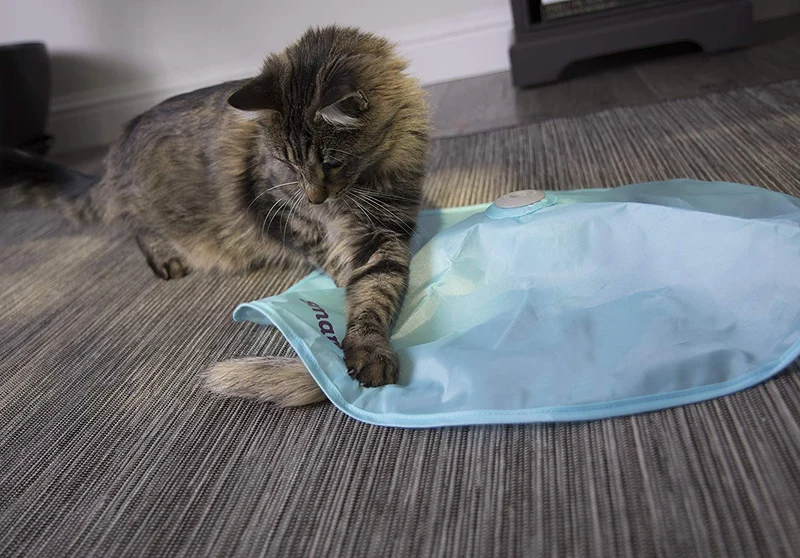 SmartyKat Electronic Motion Cat Toys