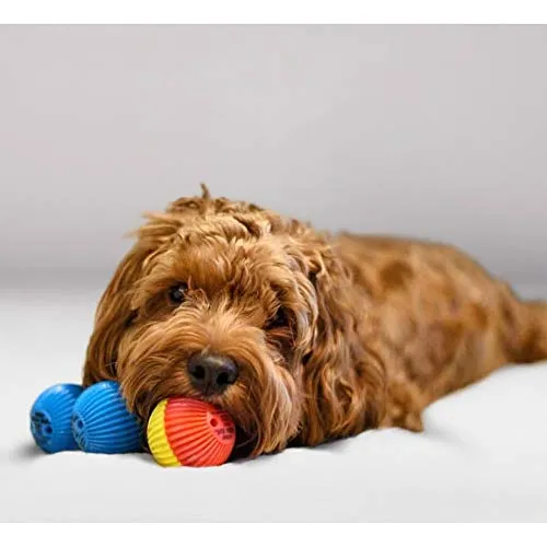 Pet Qwerks Talking - Pelota para perro