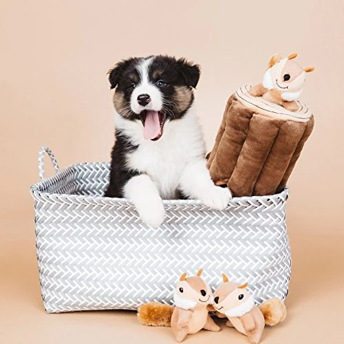 zippypaws X-Large Madriguera registro y ardillas Squeaky Hide and Seek Plush Dog Toy