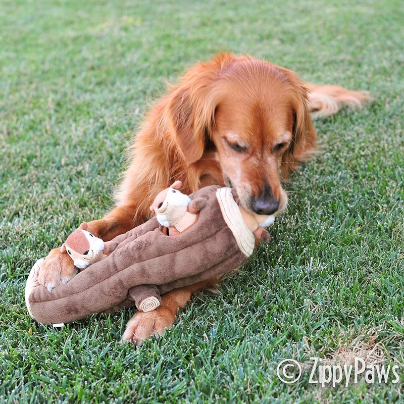 zippypaws X-Large Madriguera registro y ardillas Squeaky Hide and Seek Plush Dog Toy