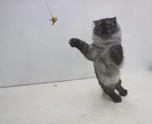 Juguete interactivo para gatos Cat Dancer 101