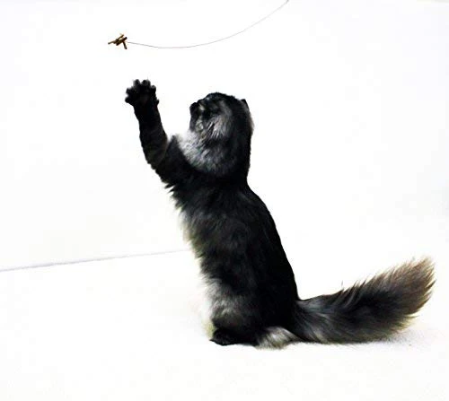 Juguete interactivo para gatos Cat Dancer 101