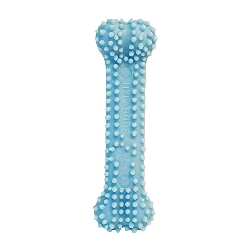 Juguete para masticar para cachorros Nylabone, Petite.
