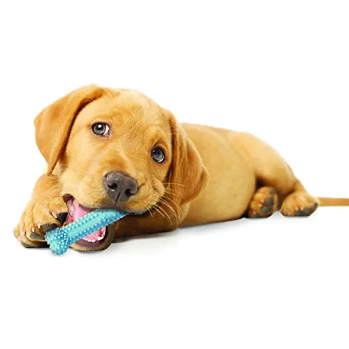 Juguete para masticar para cachorros Nylabone, Petite.