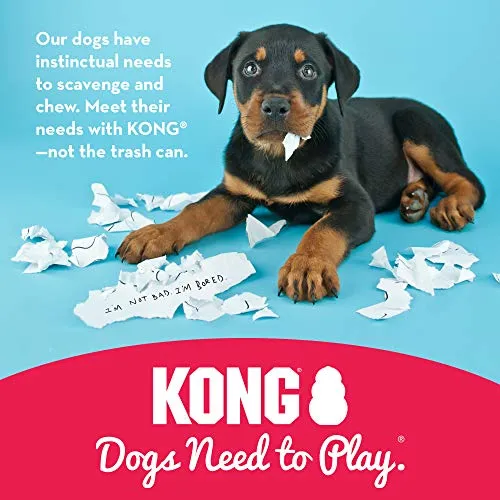 Juguete para perro Kong Classic