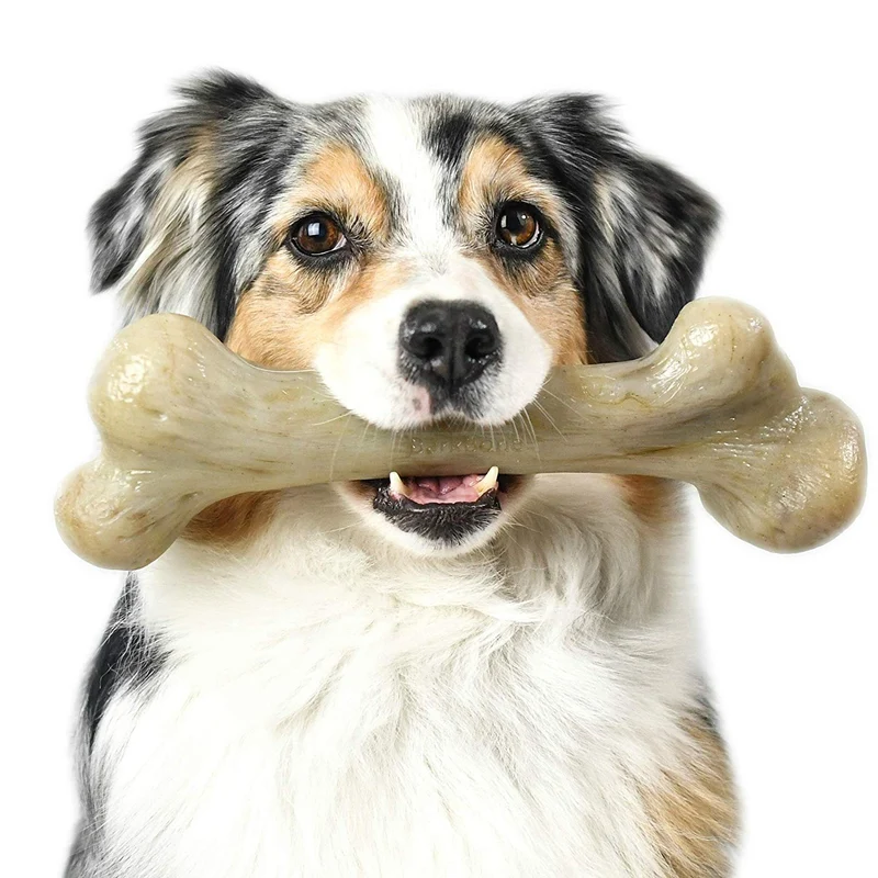 Pet Qwerks Dinosaurio BarkBone con real Bacon perro masticar juguete para masticadores agresivos, fabricado en Estados Unidos