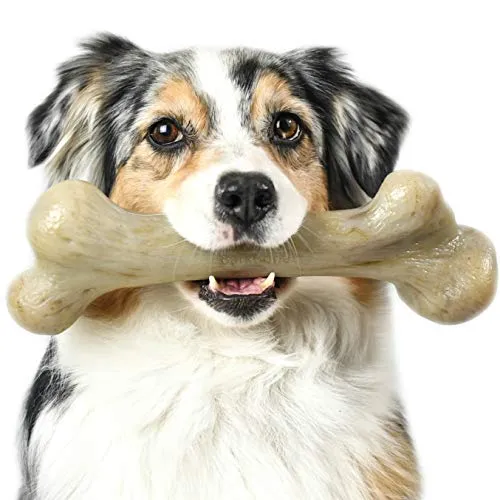 Pet Qwerks Dinosaurio BarkBone con real Bacon perro masticar juguete para masticadores agresivos, fabricado en Estados Unidos