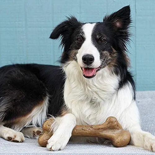 Pet Qwerks Dinosaurio BarkBone con real Bacon perro masticar juguete para masticadores agresivos, fabricado en Estados Unidos