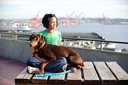 ¡Chuckit! Lanzador deportivo de pelotas para perro.