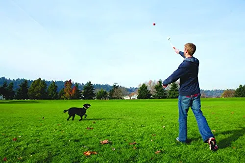 ¡Chuckit! Lanzador deportivo de pelotas para perro.