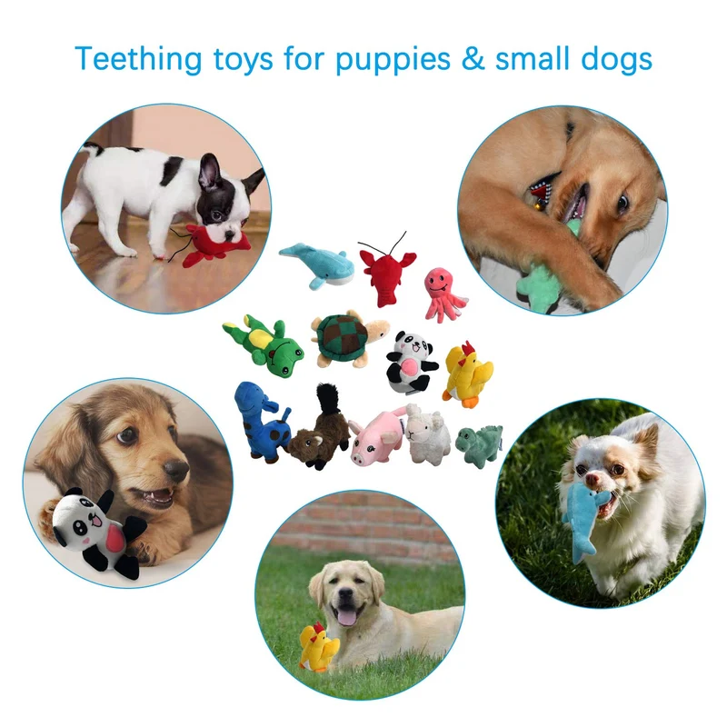 LEGEND SANDY Juguete de peluche para perro, juguete para cachorro de peluche, 12 juguetes para perros a granel con chirridos, lindo juguete suave para perros pequeños y medianos