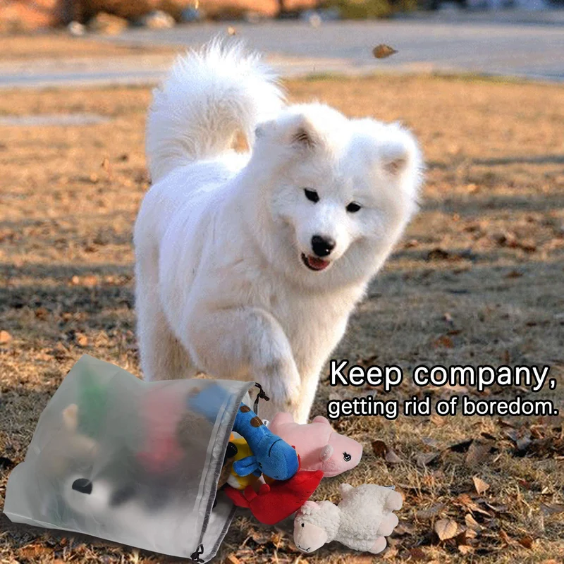 LEGEND SANDY Juguete de peluche para perro, juguete para cachorro de peluche, 12 juguetes para perros a granel con chirridos, lindo juguete suave para perros pequeños y medianos