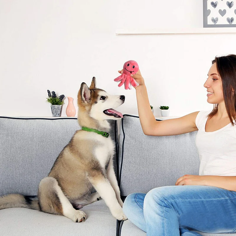 LEGEND SANDY Juguete de peluche para perro, juguete para cachorro de peluche, 12 juguetes para perros a granel con chirridos, lindo juguete suave para perros pequeños y medianos