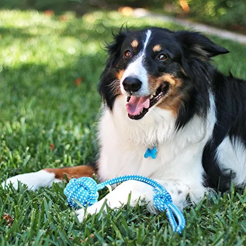 Pacific Pups Products - Juguetes de Cuerda para perro, para masticadores agresivos, juego de 11 juguetes para perros casi indestructibles, juguetes de cuerda