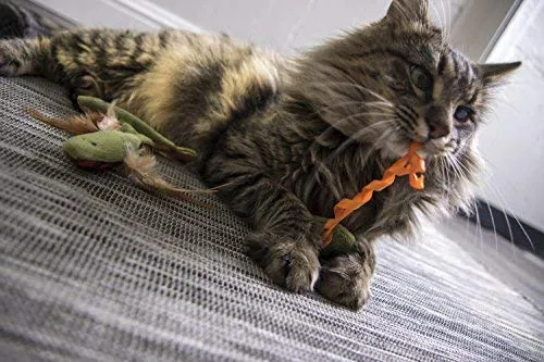 SmartyKat Fish Friends Crinkle and Catnip Juguetes para gatos