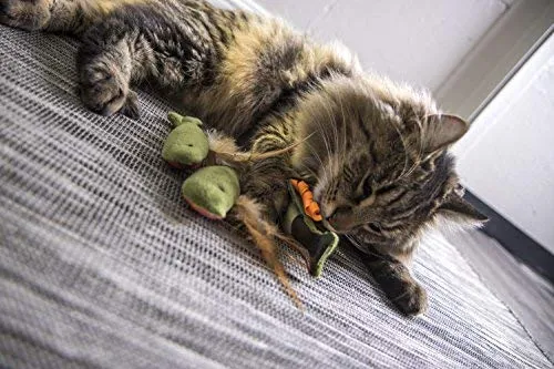 SmartyKat Fish Friends Crinkle and Catnip Juguetes para gatos