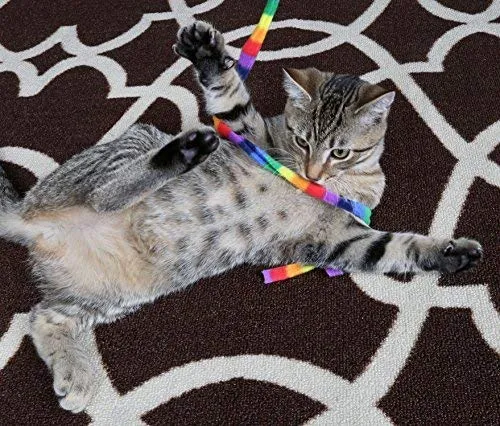 Cat Dancer Products Rainbow Cat Charmer