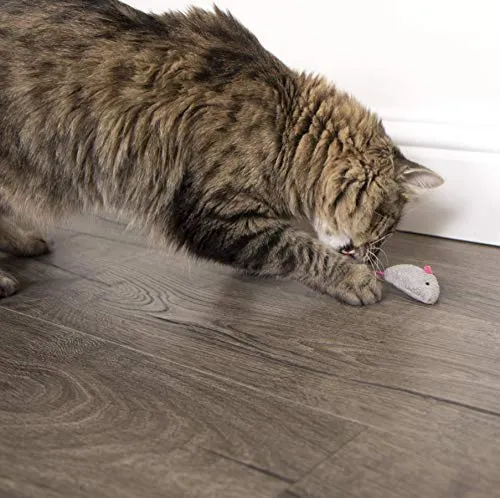 SmartyKat - Juguetes para gatos