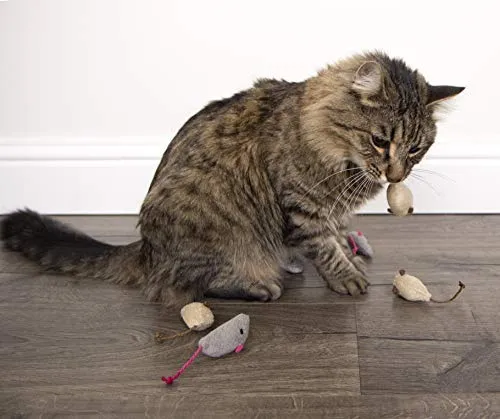 SmartyKat - Juguetes para gatos