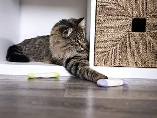SmartyKat - Juguetes para gatos