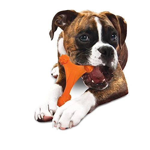 Nylabone Dura Masticar Poder Masticar Perro Juguete