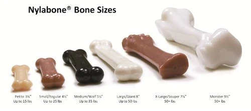 Nylabone Dura Masticar Poder Masticar Perro Juguete