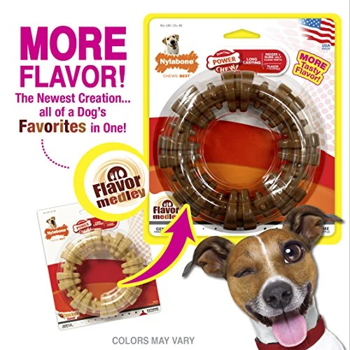 Nylabone Dura Masticar Poder Masticar Perro Juguete