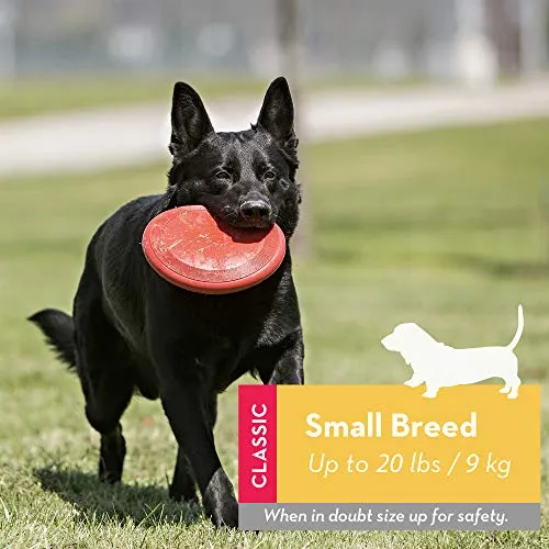 Kong - Flyer - Disco volador de goma durable juguete para perro