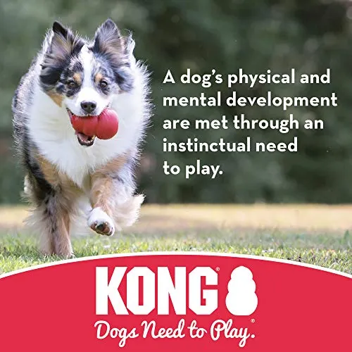 Kong - Flyer - Disco volador de goma durable juguete para perro