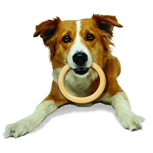 Nylabone Dura Masticar Poder Masticar Perro Juguete