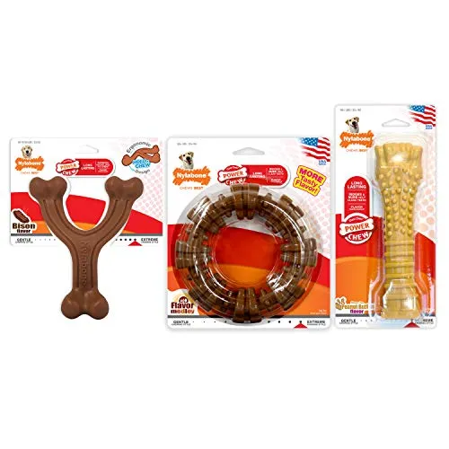 Nylabone Dura Masticar Poder Masticar Perro Juguete
