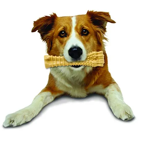 Nylabone Dura Masticar Poder Masticar Perro Juguete