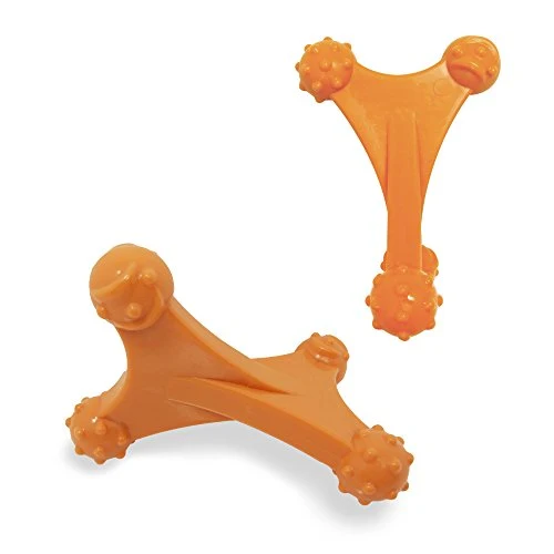 Nylabone Dura Masticar Poder Masticar Perro Juguete
