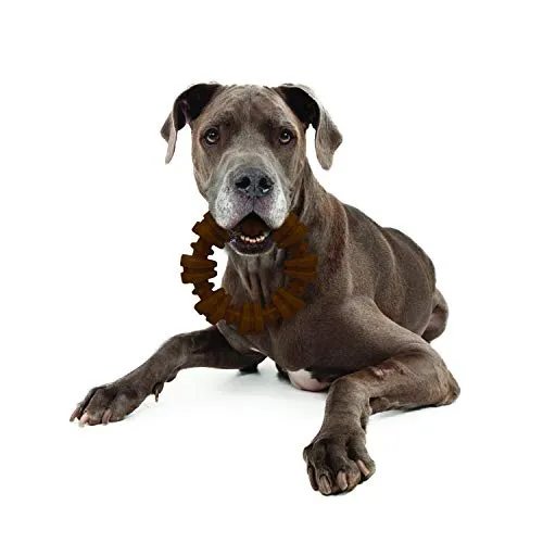 Nylabone Dura Masticar Poder Masticar Perro Juguete