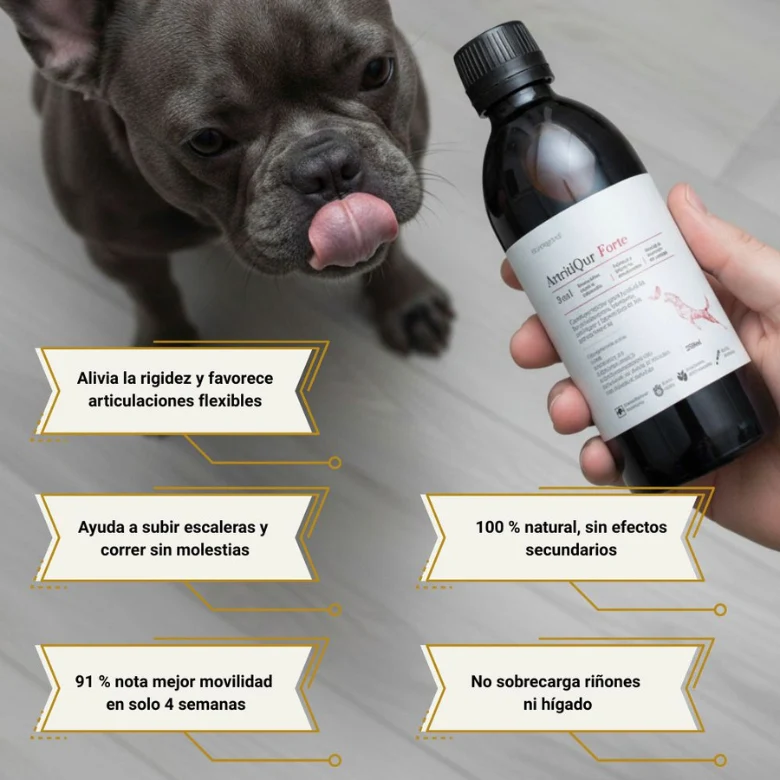 ArtritiQur Forte - 250ml