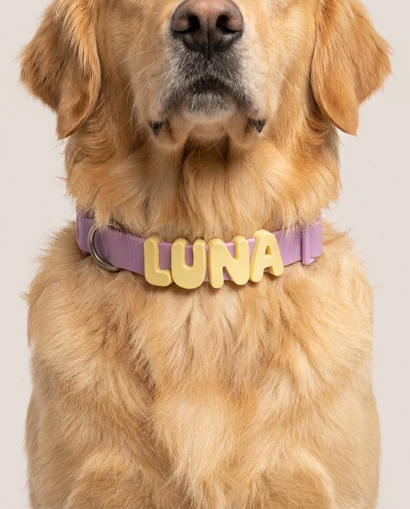 Collar personalizable con charms – El original de Feyral