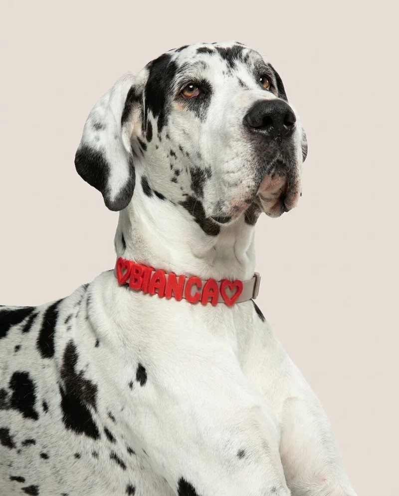 Collar personalizable con charms – El original de Feyral