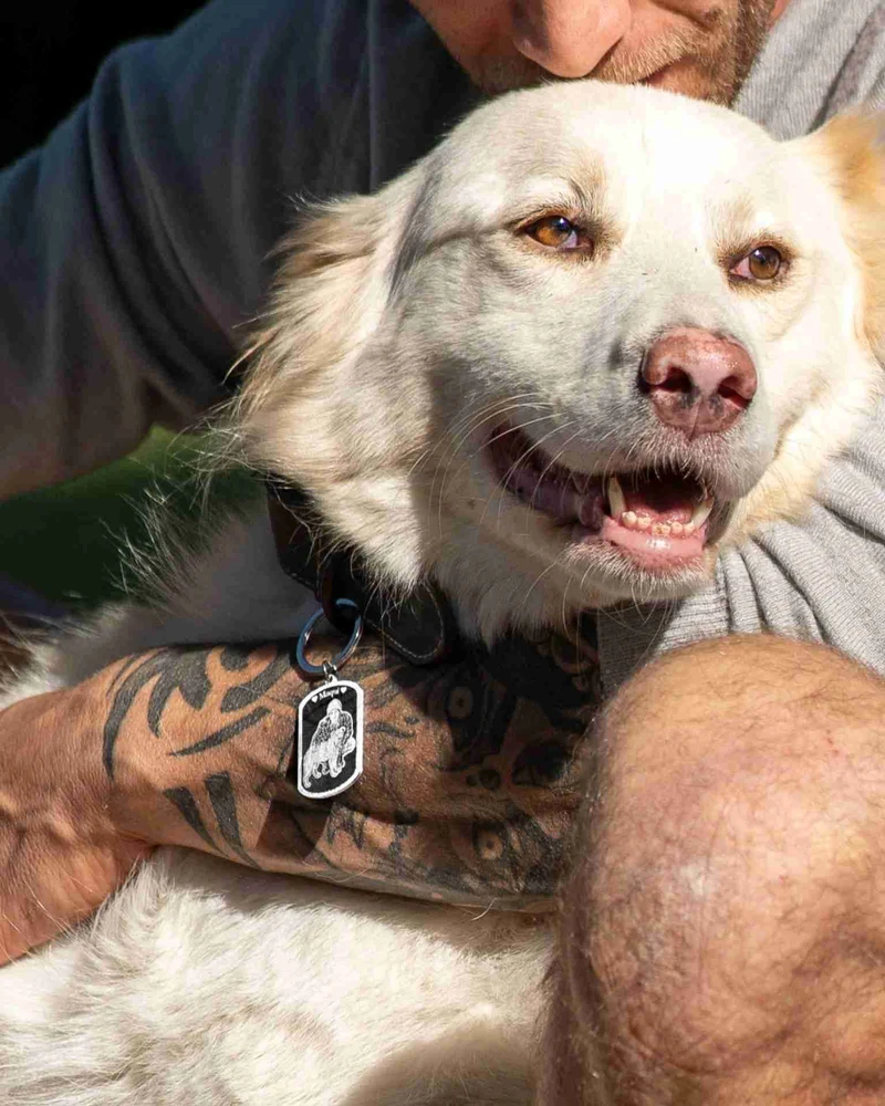 Chapa para perro