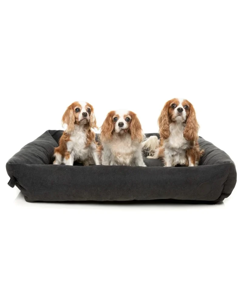 Lounge Bed - Charcoal S