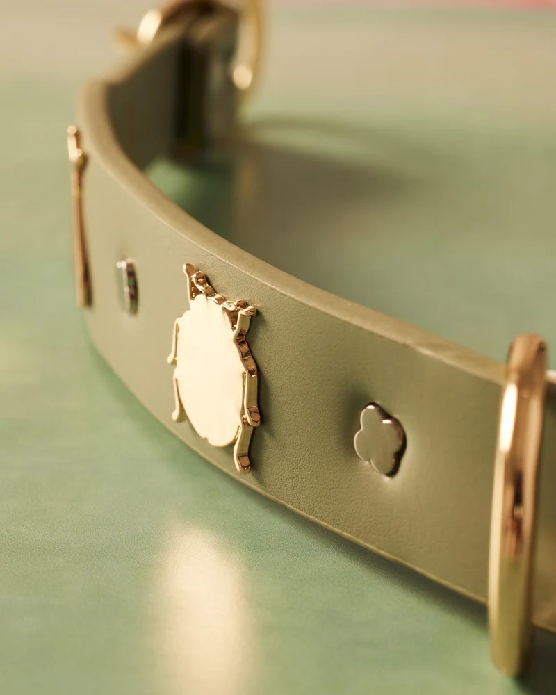Collar Insectos Verde | S | M | L |