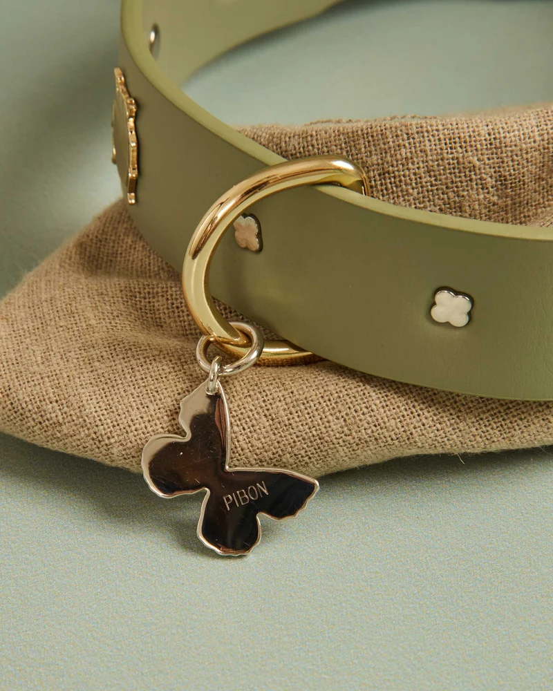 Collar Insectos Verde | S | M | L |