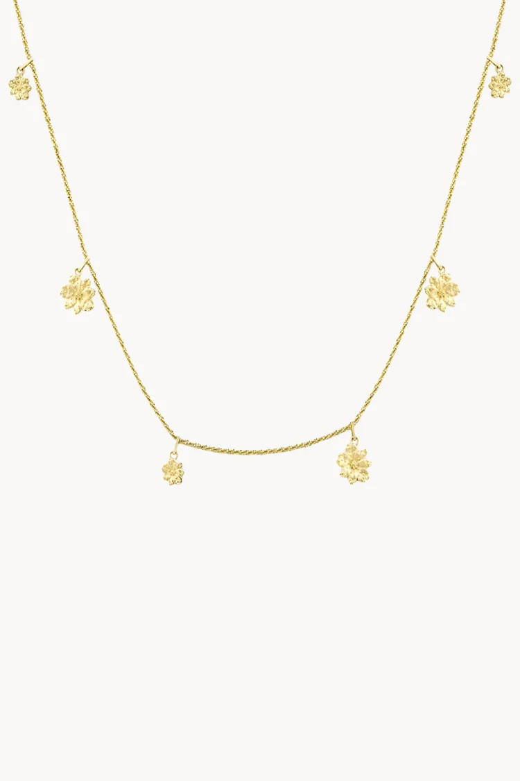Collar Full Zinnia