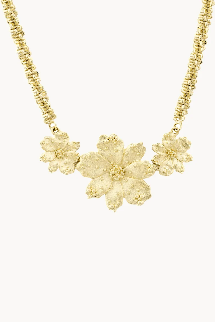 Collar Zinnia