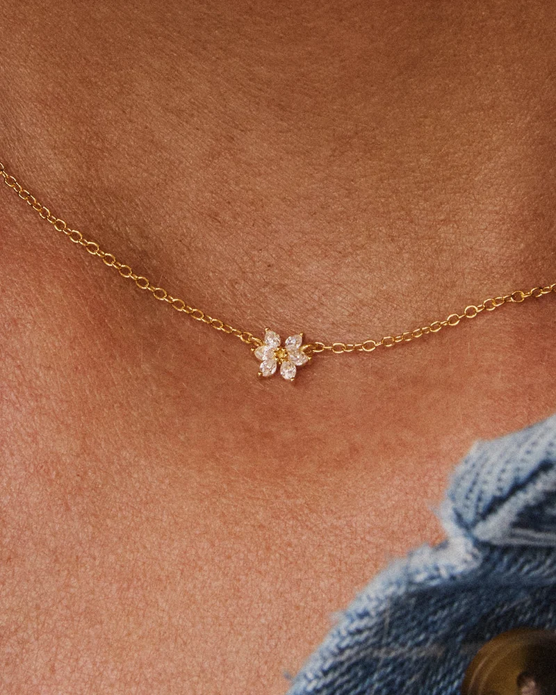 Collar Olivia Wild