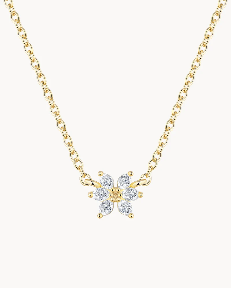 Collar Olivia Wild