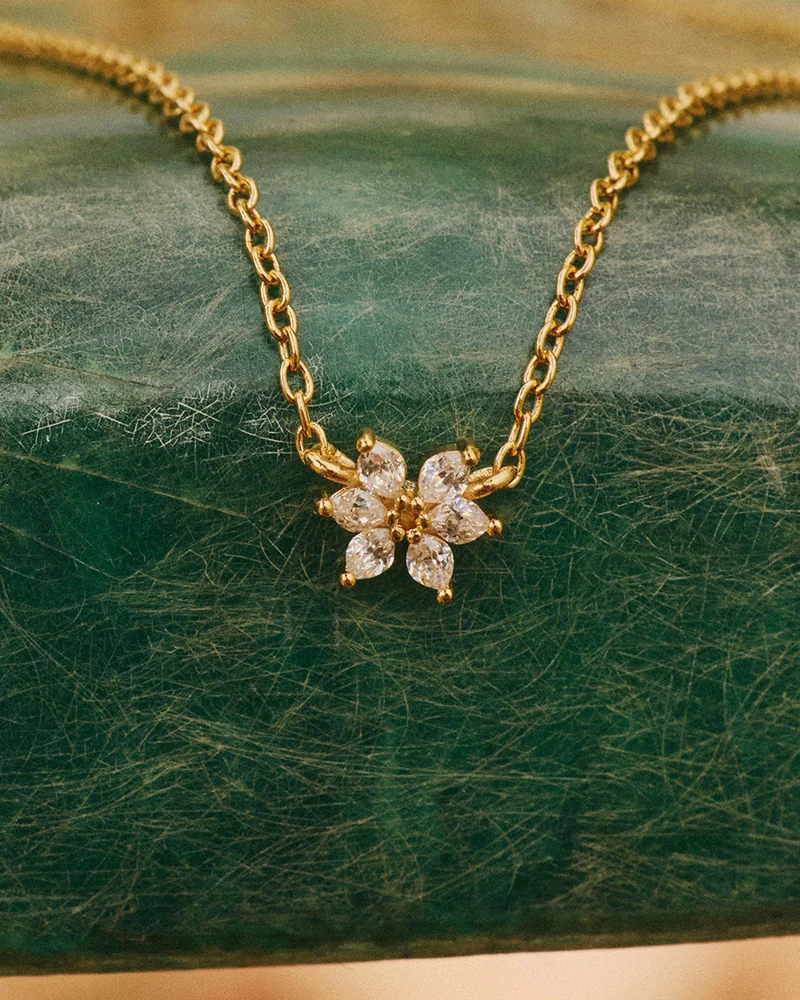 Collar Olivia Wild