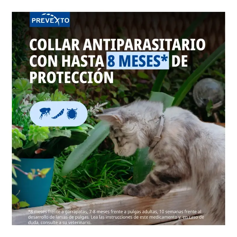 Prevexto collar antiparasitario para gatos, 38cm